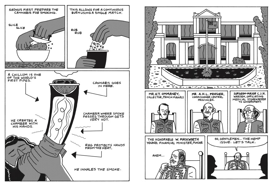A page from <em>Cannabis</em>, by Box Brown.