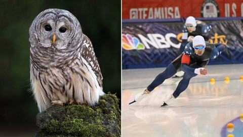 The Owl Prowl at Wehr Nature Center (left) and Olympic hopefuls at the Petit are just two of the events happening this weekend in the Milwaukee area.