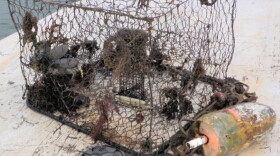 Crab Trap