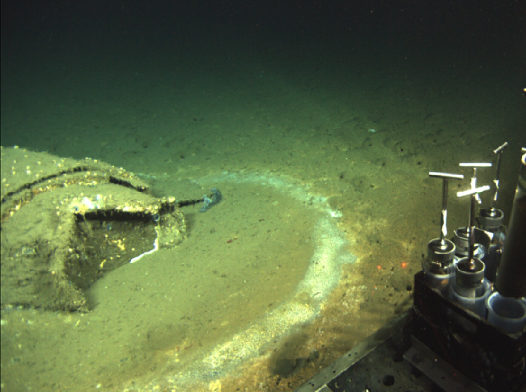 DDT was dumped off California's coast for years. New UCSB study shows