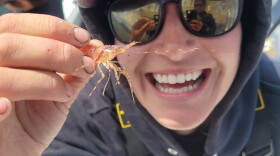 Jessie Sheldon holds a Cook Inlet crustacean in 2022.