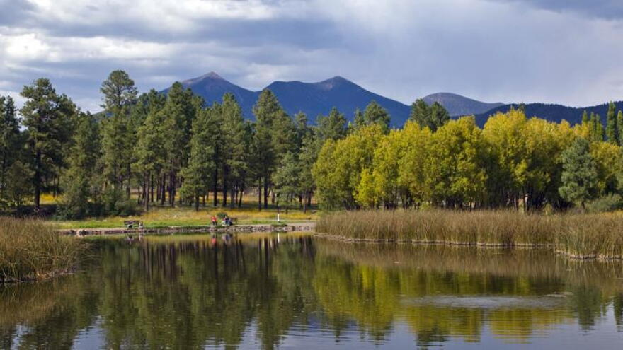 The Frances Short Pond in Flagstaff experienced large flows of ash, sediment and debris following flooding from the 2022 Pipeline Fire.