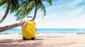 beach scene with a yellow suitcase in the stand and a beach hat hanging off a corner of the suitcase . the suitcase is under a palm tree
