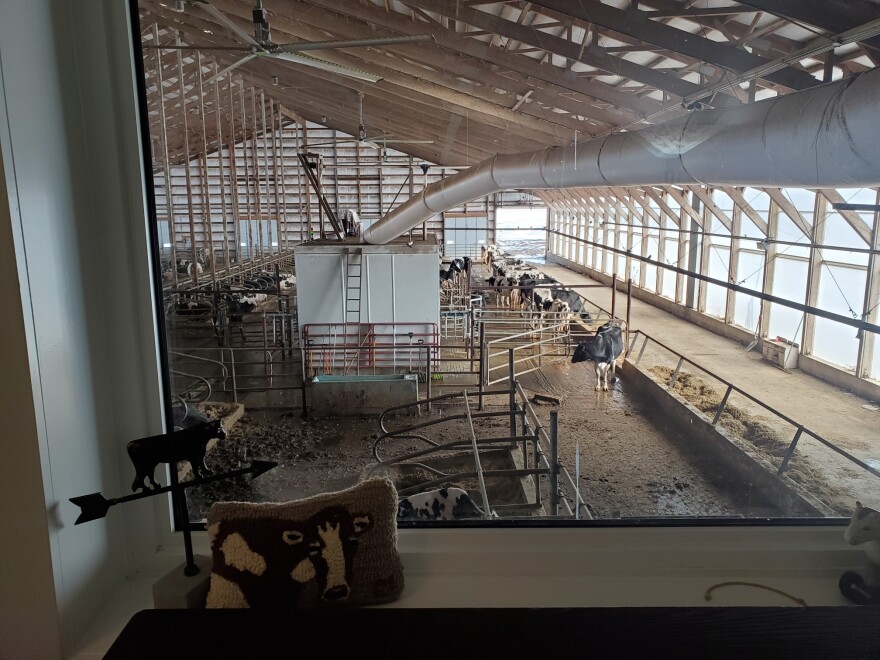 new_day_dairy_three.jpg