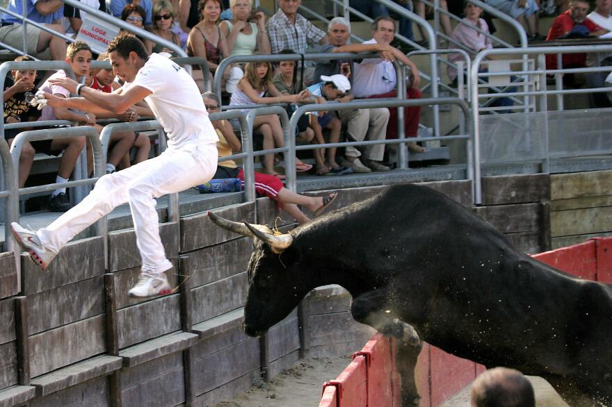 French <em>raseteur</em> Sabri Allouani flees from a bull during a bullfight in Vendargues, southeastern France, in 2006.
