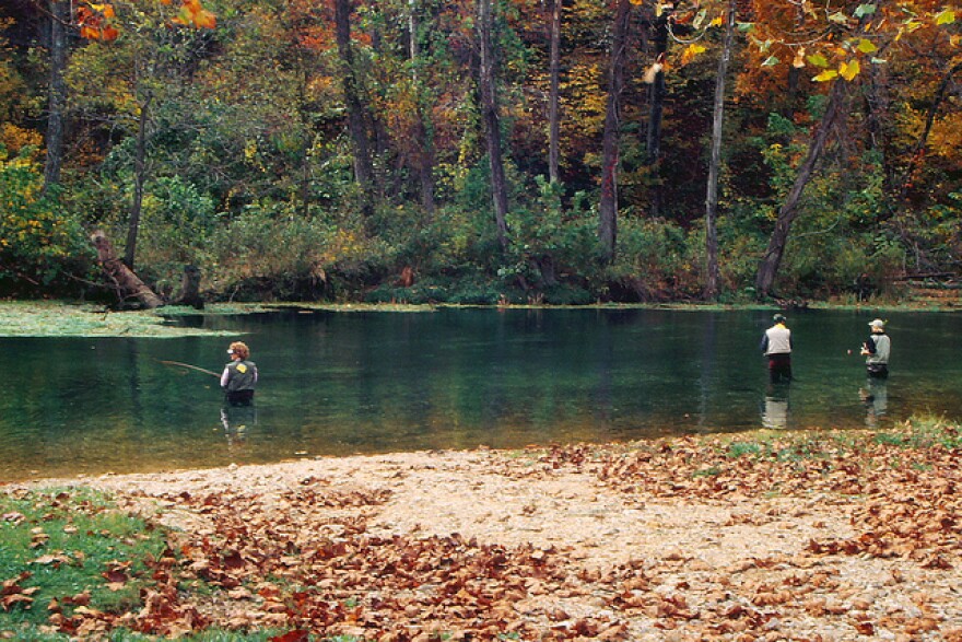 Trout fishermen in Bennett Springs State Park. An report from state auditor Tom Schweich has given the division that oversees Mo. state parks low marks.