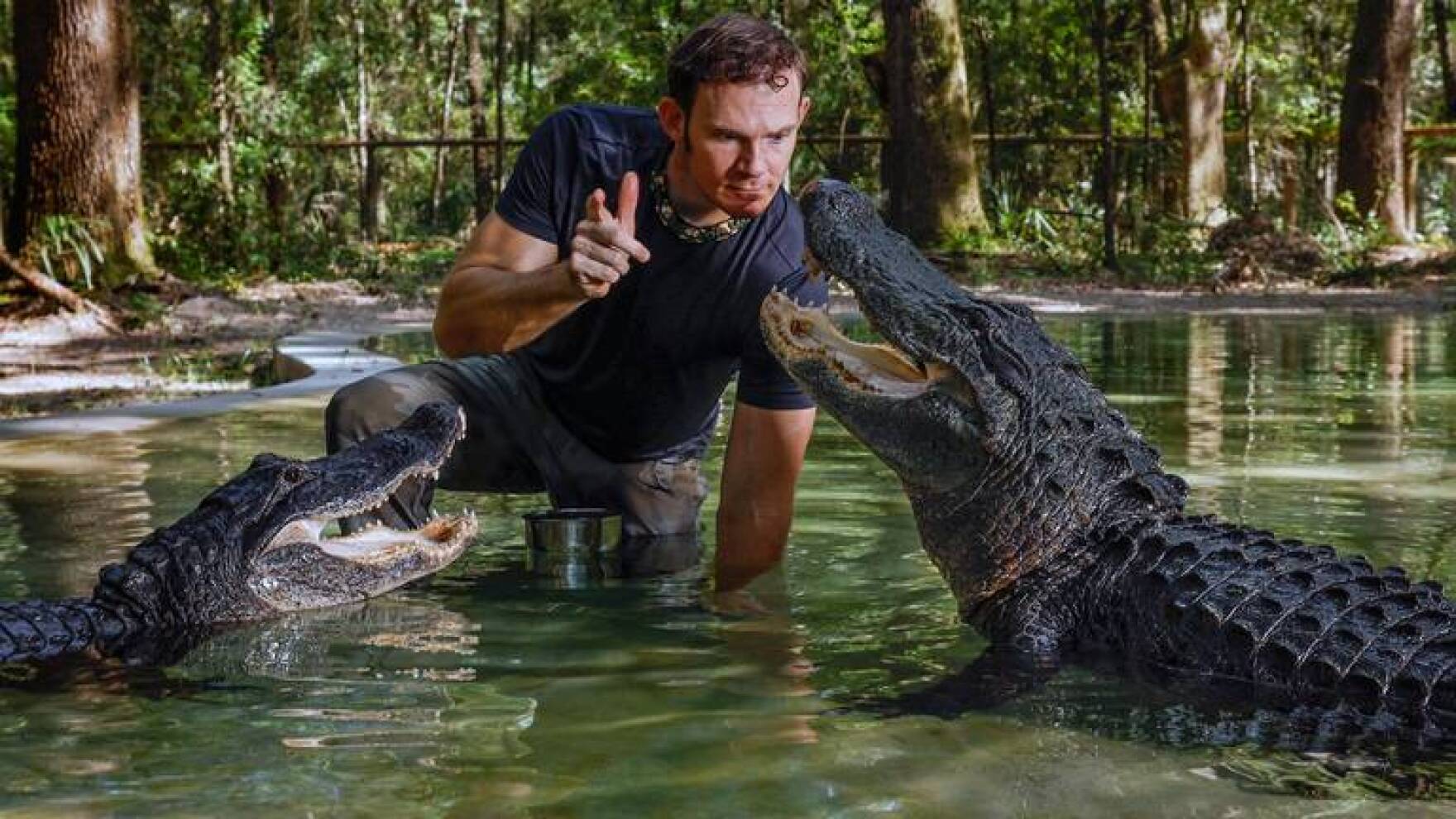 Millions watch as they swim with gators, snatch snakes. Meet the