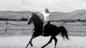 The cover of the book "In the scent of Horses, Hay, and Old Barns."