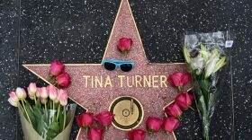 Flowers and a pair of sunglasses are placed on the Hollywood Walk of Fame star of US-Swiss singer Tina Turner, in Hollywood, California, on May 24, 2023. (Photo by PATRICK T. FALLON/AFP via Getty Images)