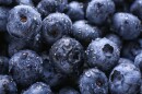 Fresh ripe blueberries with drops of water, closeup