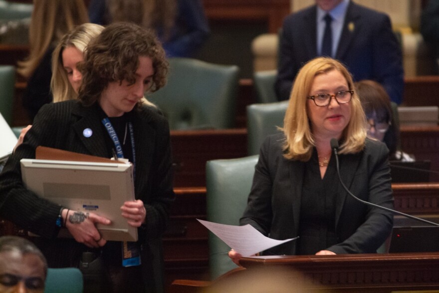 State Rep. Anna Moeller, D-Elgin, presents her Medicaid legislation on the House floor on Saturday, May 31, 2025. 