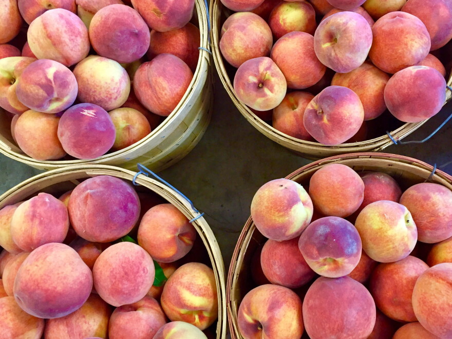 South Carolina's Department of Agriculture claimed on Twitter this week that the state harvests three times more peaches than Georgia does. Numbers say otherwise.
