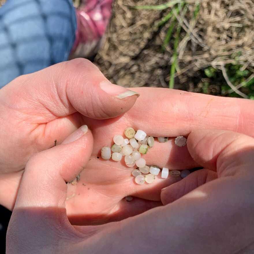 Pellets collected outside the fence line at the Chevron Phillips plant in Sweeny, TX. Chevron Phillips says, "We have almost no pellets leaving our sites."