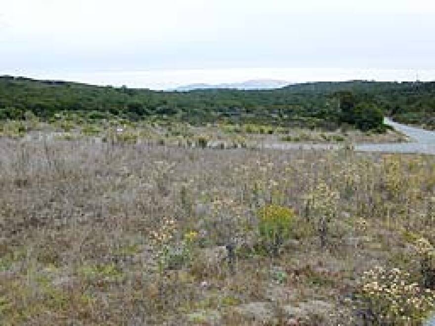 Cemetery site on Fort Ord