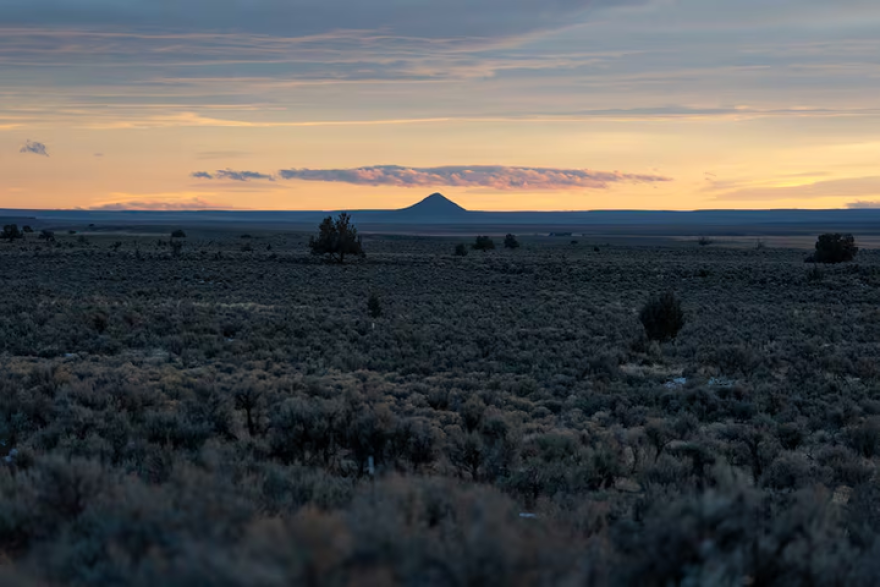 Juniper trees dot a sea of sagebrush stretching for many miles in Harney County, Ore., on Dec. 18, 2025.
