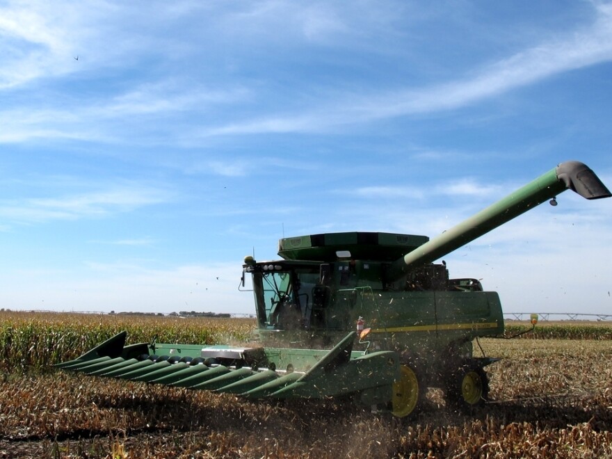 During corn harvest, it's all hands on deck on the Friesen family farm in Henderson, Neb. Nancy Friesen typically takes the controls of their John Deere combine.