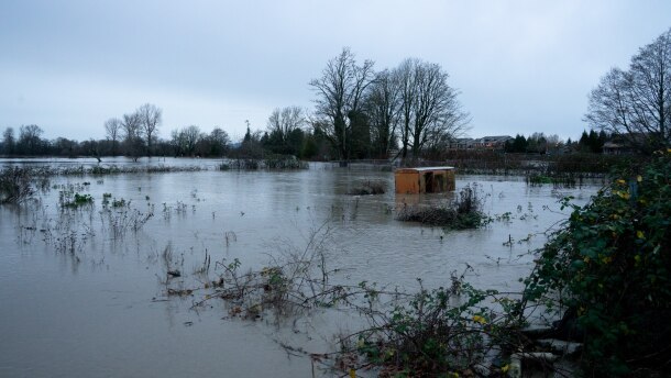 Debris floats down the Nooksack river in Ferndale, which has flooded Hovander Homestead Park.