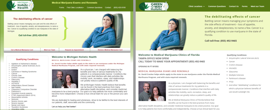 Michigan Holistic Clinic and Green Holistic Clinic websites