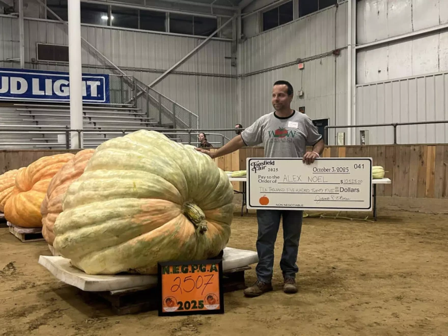 Alex Noel with his first place pumpkin at the Topsfield Fair. (Amanda Beland/WBUR)Alex Noel with his first place pumpkin at the Topsfield Fair.