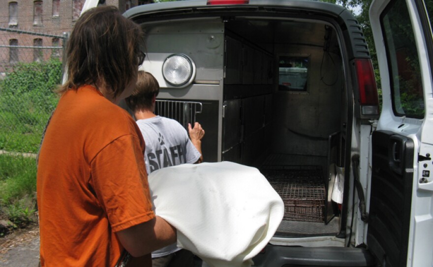 Another Stray Rescue employee, Darrell Antalick, brings out the corpse of the dead puppy that had served as a food source for the two rescued animals.