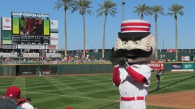 Mr. Redlegs cheers the Reds at their home ball park in Goodyear, AZ, in 2015. 