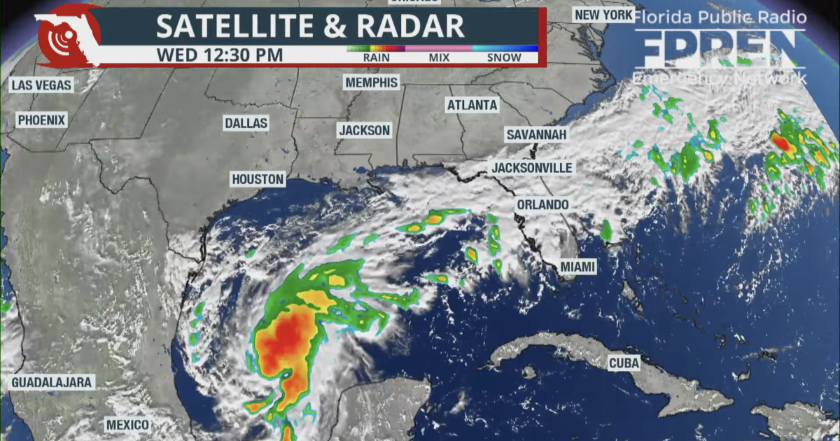 WATCH LIVE: Florida governor holds briefing on Hurricane Isaias
