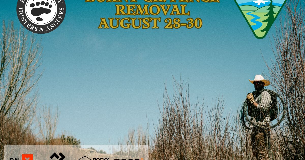 Burnt Creek Fence Removal