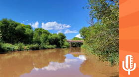 Buzz Verde River mezz