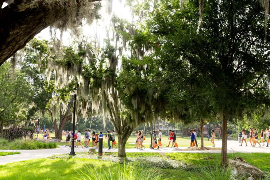 Photo from the University of Florida campus in Gainesville, Florida.