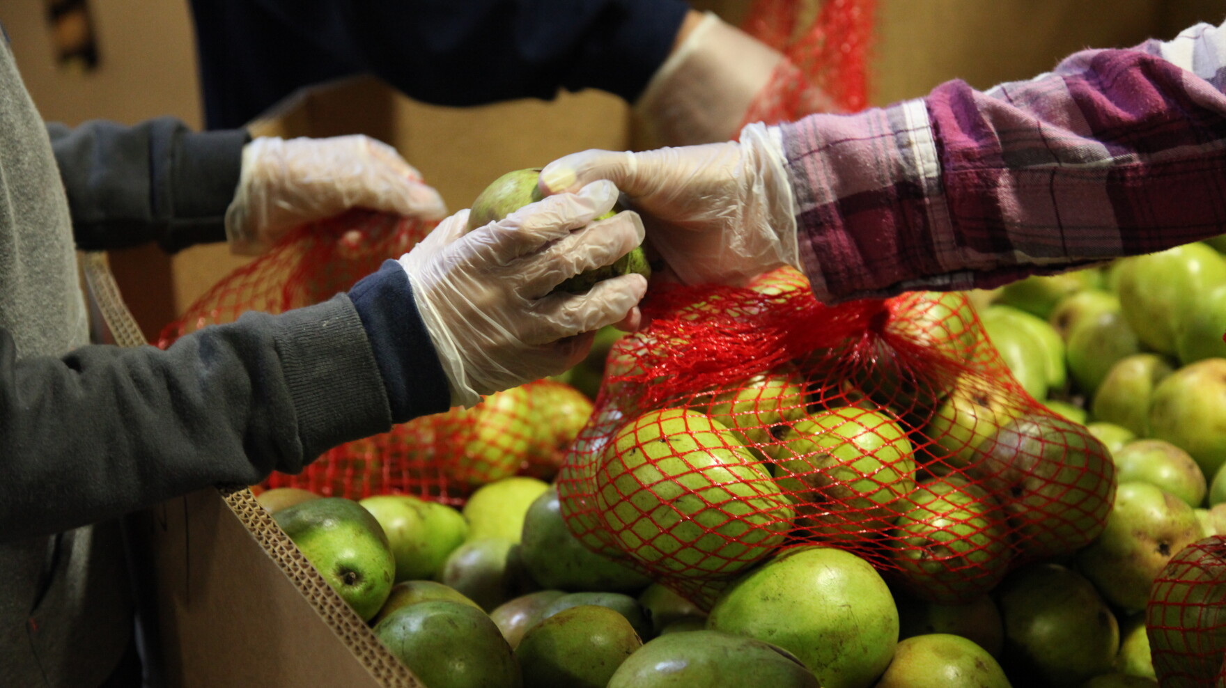 Arkansas Food Insecurity Fourth annual Arkansas College Hunger Summit addresses food insecurity