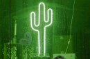 AZILL “Questions for a Saguaro” hero 