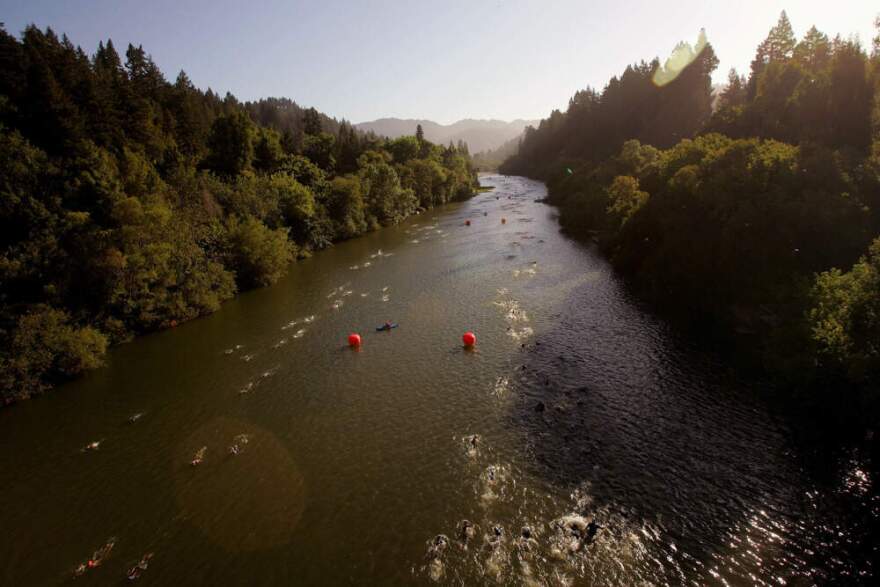 Athletes swim in the Russian River during  the an ironman in Santa Rosa, California. (Ezra Shaw/Getty Images)