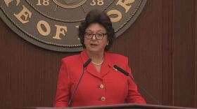  Senate President Kathleen Passidomo says she wants to focus on health-care issues during the 2023 legislative session.