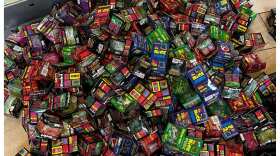 Counterfeit NeeDoh