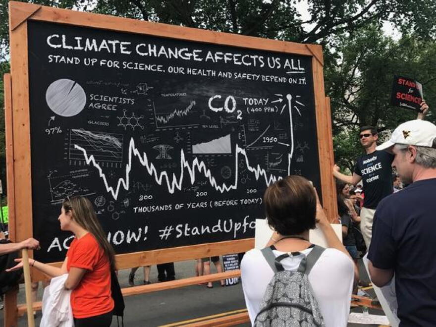 Participants in the 2017 People's Climate March.