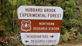 The Hubbard Brook Experimental Forest, established in 1955, is nestled in the White Mountains.