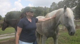 Jennifer Olmstead raises and boards horses on 10 acres near the Back Bay Wildlife Refuge in southern Virginia Beach. (Photo by Ryan Murphy)