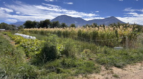 High Desert Seeds + Gardens farm in Paonia, Colorado.