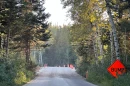 While the Trump administration defunds bike paths around the country, it sees those in national parks as worth expanding.