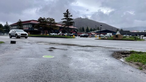 The area on state Route 248 where the tunnel or crosswalk would be installed.