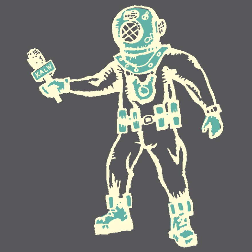 diver_20150806_1.jpg