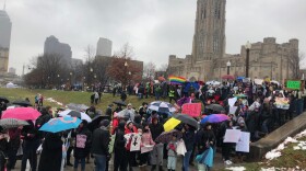 The marchers walked from Monument Circle to the American Legion Mall.