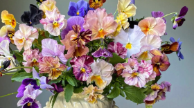 All photos courtesy of Brenna Estrada, Three Brothers Blooms. All rights are reserved.