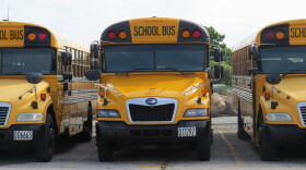 A line of school buses