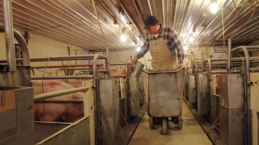Dave Struthers, a hog farmer in Collins, Iowa, says activists use extreme examples to make standard farming practices look bad.