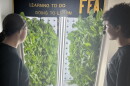 Dylan Miller and Lavender Johnson, high school students in Lima City School District, gaze at lettuce being grown on a hydroponic tower.