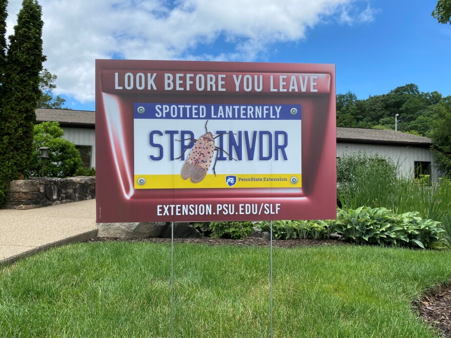 spotted lanternfly yard sign