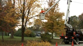 A crew with the Utilities District of Western Indiana REMC does a maintenance trim on trees.