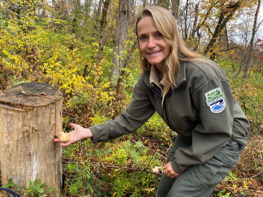 Ohio State Parks and Watercraft Naturalist Erin Shaw has an office at Caesar Creek State Park and has been foraging since she was a child.