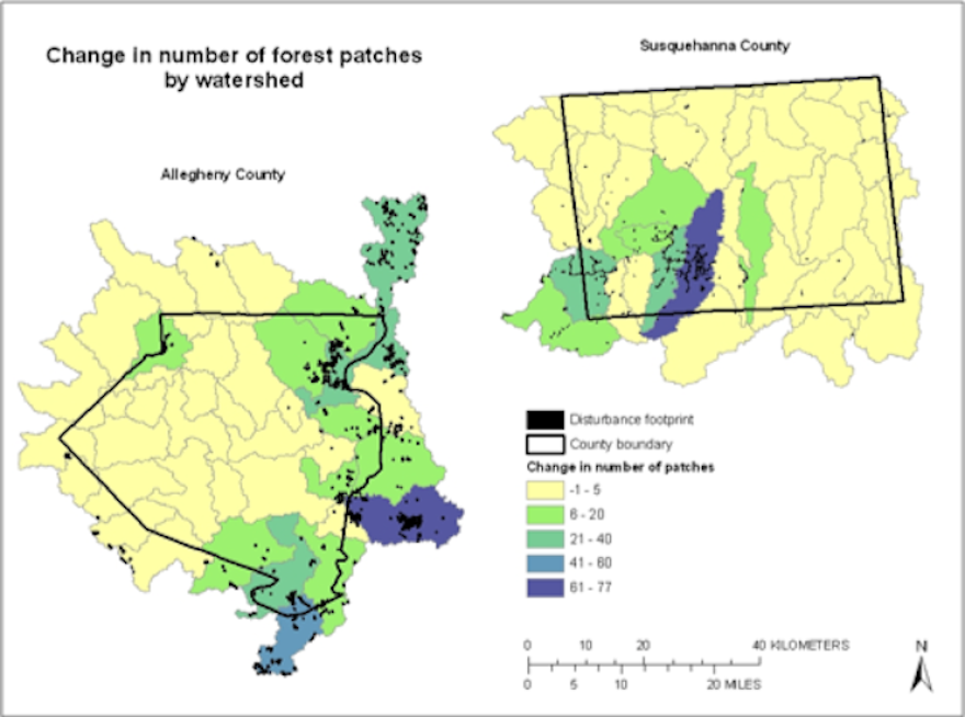 Federal Study: Shale Development Fragmenting Allegheny County Forests